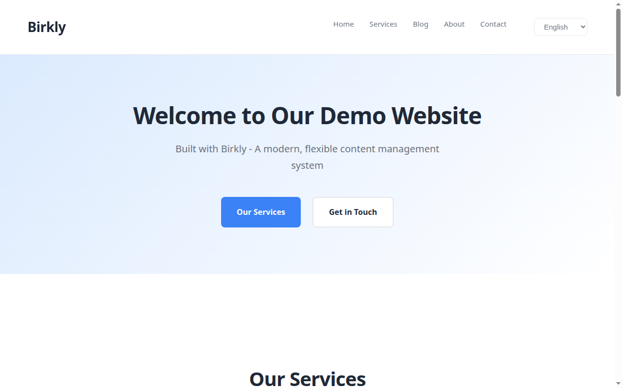 Live project homepage after client render